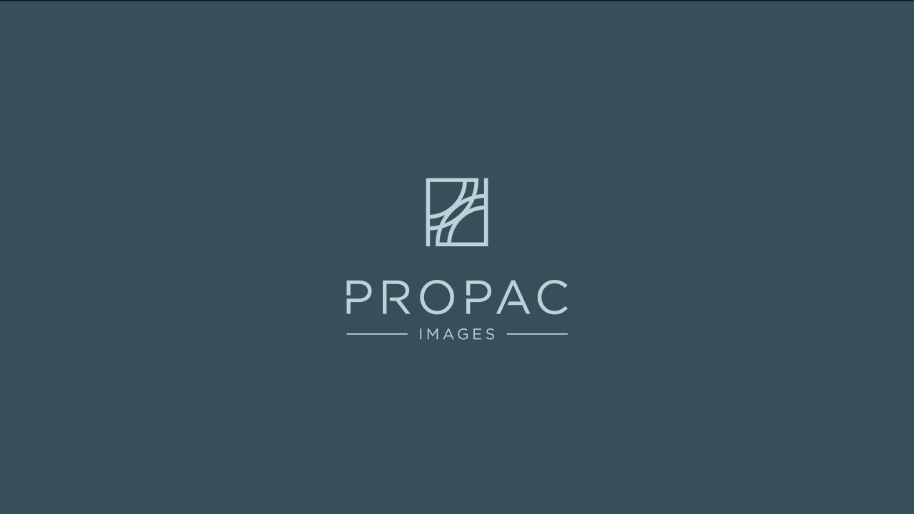 propac 1