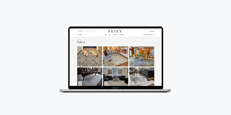 Intelligent Product Discovery for Large Rug Collections